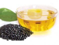 牡丹籽油設(shè)備 牡丹籽油榨油精煉生產(chǎn)線